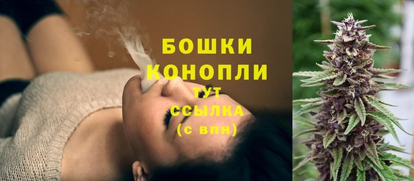 молекула духа Пролетарск