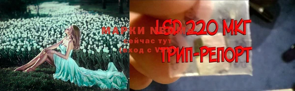 крисы Протвино