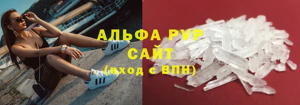 стаф Приозерск