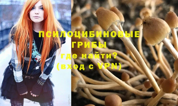 стаф Приозерск
