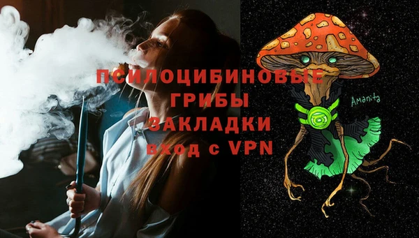 крисы Протвино