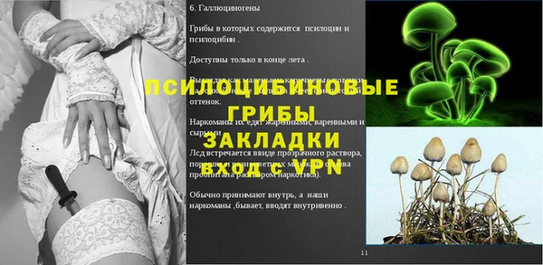молекула духа Пролетарск
