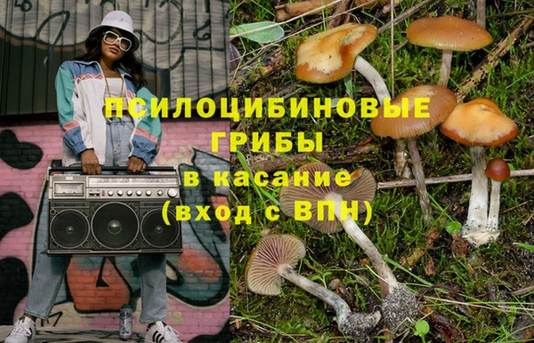 крисы Протвино