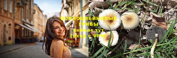 крисы Протвино
