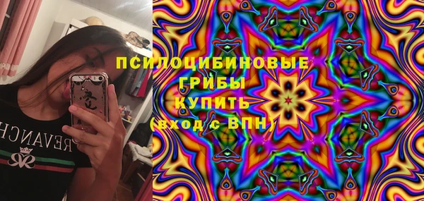 молекула духа Пролетарск
