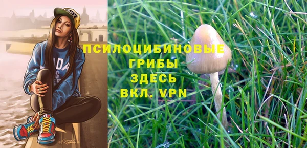 молекула духа Пролетарск