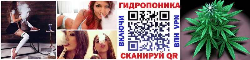 Купить где  Гаврилов-Ям  Канабис индика 